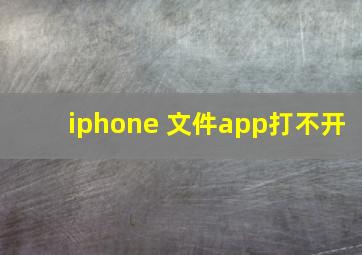 iphone 文件app打不开